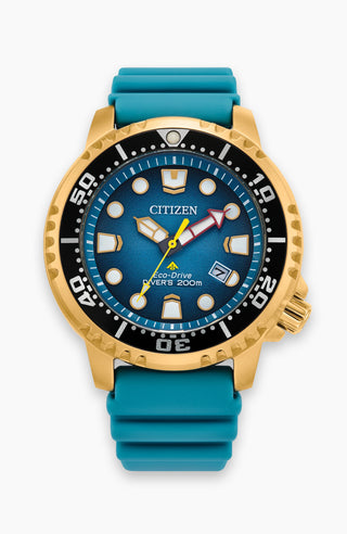 Promaster Dive Eco-Drive