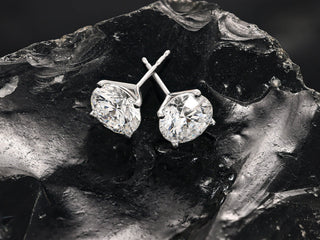 Stud Earrings
