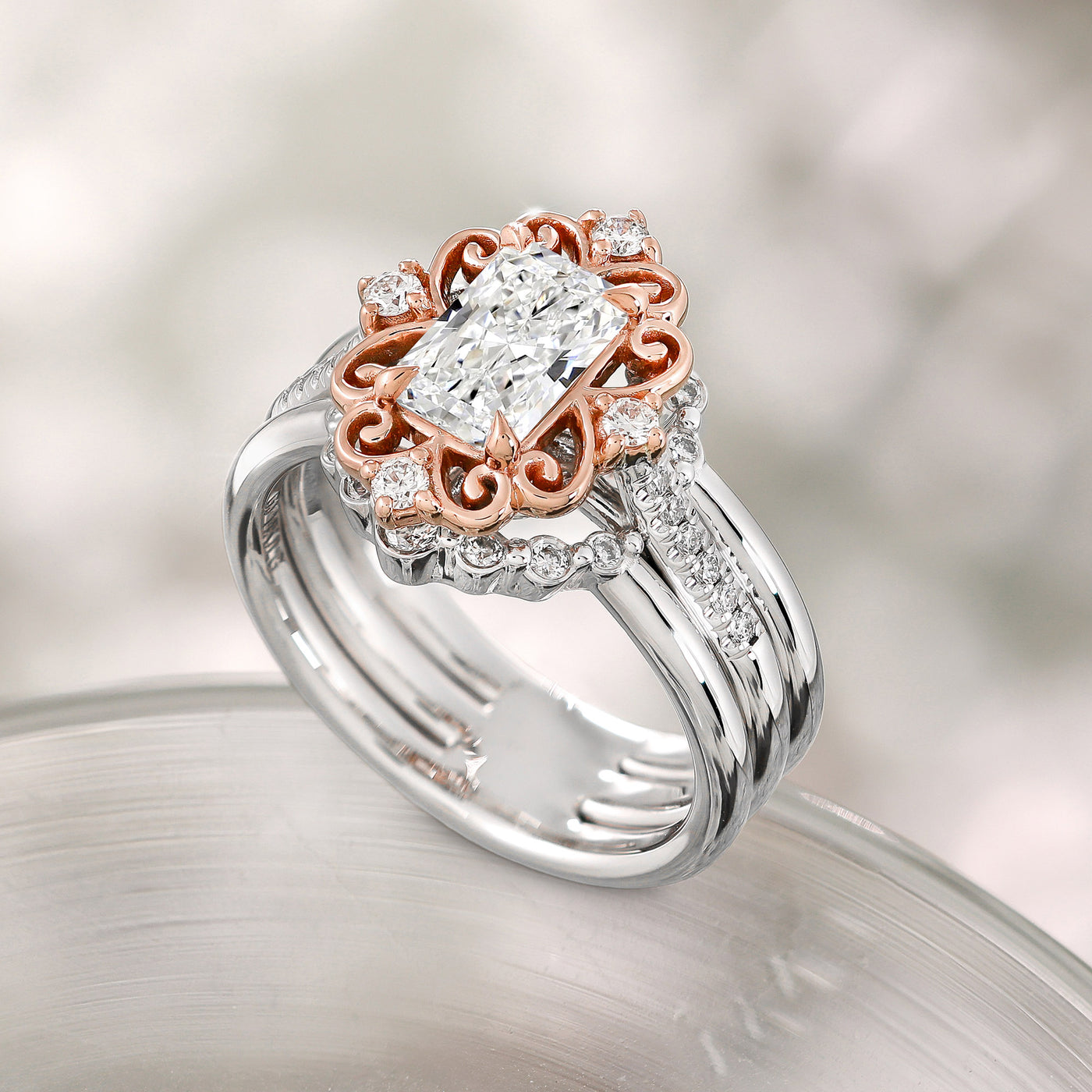 Radiant Rose
