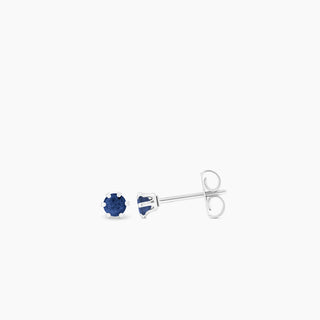 Sapphire Silver Tone Earrings