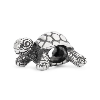 African Tortoise Sterling Silver Trollbead