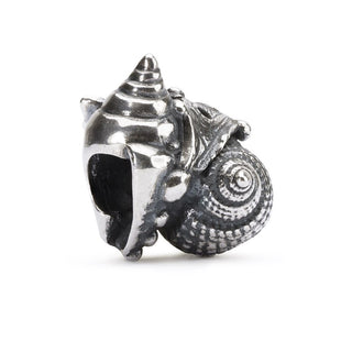 Love Conch Sterling Silver Trollbead