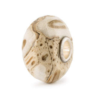 Fossilized Wood Gemstone Trollbead