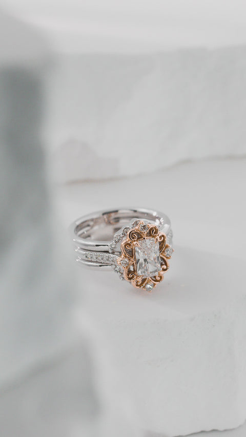 Radiant Rose